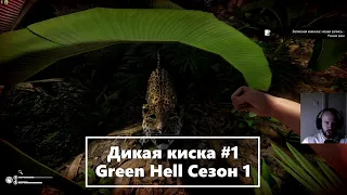 Дикая киска #1 | Green Hell | Сезон 1 | Выживание Зеленый Ад 16+