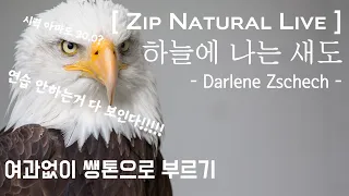 [ZIP NATURAL LIVE] 하늘에 나는 새도 Cover  |  Darlene Zschech  |  쌩톤 쌩화면 (보정따위 없음)