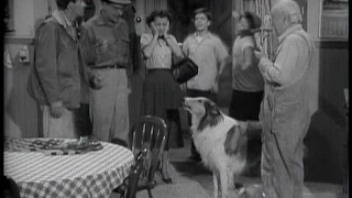 Lassie - Episode #74 - "Local Elections" - Season 3, Ep. 9 - 11/04/1956