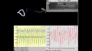 Swimming Analysis - Swim Stroke Analysis - in 2D with Simi Motion