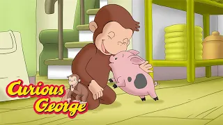 The cutest little pig 🐷 Curious George 🐵 Kids Cartoon 🐵 Kids Movies