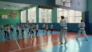 Ставропольские тхэквондисты проводят мастер-классы для школьников