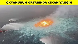 Hayatınızda İlk Defa Göreceğiniz En Çılgın Keşifler