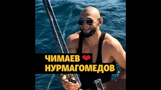 Чеченский боец Чимаев признался в любви к Нурмагомедову #shorts