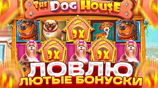 🦴ПОЙМАЛ 5 БОНУСОК В THE DOG HOUSE БУДЕТ ЛИ ЗАНОС?