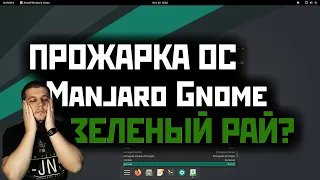 ПРОЖАРКА ОС: Manjaro Gnome 21.х- зеленый рай?