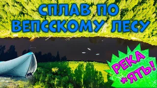 Сплав по Вепсскому лесу. Река Оять.