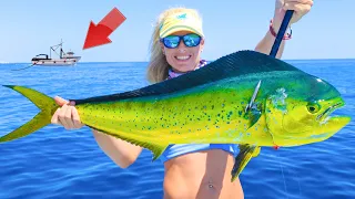 The TRUTH Behind Florida's Dying Mahi Mahi Population! Florida Offshore Catch & Cook