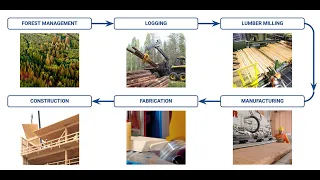 Oregon's Mass Timber Supply Chain and the Pulse on Global CLT Manufacturing - TDI Meetup 10 23 2020