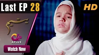 Yateem - Last EP 28 | Aplus| Sana Fakhar, Noman Masood, Maira Khan | Pakistani Drama | C2V1