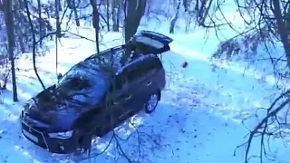 Медведь угнал автомобиль прямо на глазах у хозяина смотреть до конца