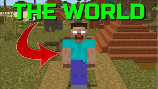 I Traveled THE WORLD To Find This Minecraft Player