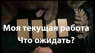 Моя текущая РАБОТА🔔 Что ожидать Гадание на Таро он-лайн🔮pick a card@TianaTarot