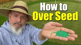 Overseeding Lawns in the Spring - How to - Dos and Don'ts