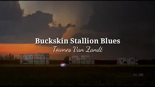 "Buckskin Stallion Blues" - Townes Van Zandt (Tradução/Lyrics)