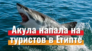 Нападение акул на украинских туристов в Египте, что известно? | Новости туризма 2020 | Travelcom