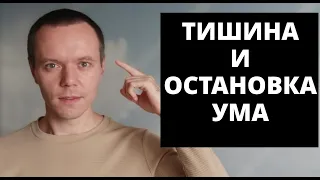 Тишина ума - основа будущего. Просветление - только начало.