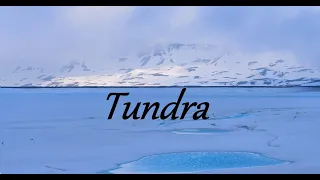 Tundra - Ambient/Atmospheric Music