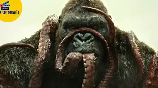 Kong: Kafatası Adası |  Kong Büyük Ahtapota Karşı | HD |