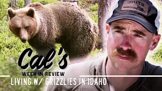 Cal in the Field: Living w/ Grizzlies in Idaho | S2E01 | MeatEater