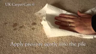 What to do if you have a carpet spill