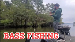 Sam Rayburn Bass Fishing (lots of fish)