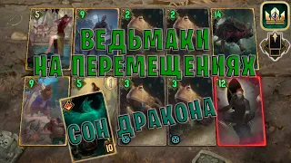 GWENT | ВЕДЬМАКИ ШКОЛЫ КОТА и СОН ДРАКОНА (Партизанская тактика) — гайд | Гвинт Патч 12.1