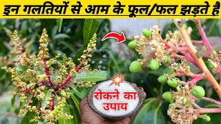 आम के फूलों और फलों का गिरना बंद करें ! Mango Fruit Drooping Solution