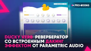 Ducky Verb : Ревербератор со встроенным дакинг эффектом от Parametric Audio