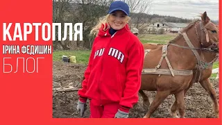 Ірина Федишин - БЛОГ (Посадили картоплю)