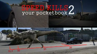 Speed Kills Your Pocketbook 2 - Lying with Statistics