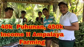 Ampalaya Farming In The Philippines II Magkanu ang Kita sa Pag Tanim ng Ampalaya