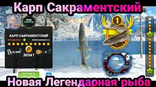 Новая Легендарная рыба на локации Йосемити / Размер имеет значения/Fishing Clash: Реальная рыбалка