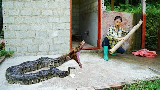 full video: snake enters house, builds fish pond - 3 years living in the forest