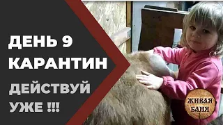 День 9 Мы дома! Бояринцевы. Вы мне верите? //Живая Баня Иван Бояринцев