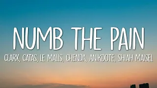 Clarx, Catas, Le Malls, CHENDA, Anikdote - Numb The Pain (Lyrics) ft. Shiah Maisel