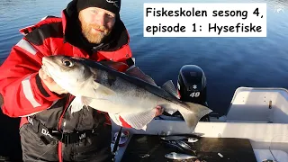 Fiskeskolen sesong 4, episode 1: Hysefiske