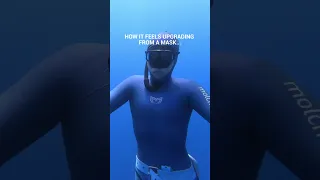 No Offense to Mask Divers 🤿😅