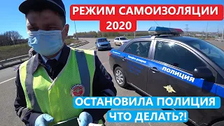 Режим самоизоляции 2020. Остановила полиция, что делать?