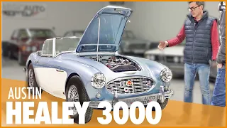 QUE FAUT-IL SAVOIR AVANT D'ACHETER UNE AUSTIN HEALEY 3000 ?