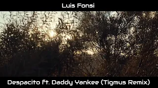 Luis Fonsi - Despacito ft. Daddy Yankee (Tigmus Remix) | Official Video