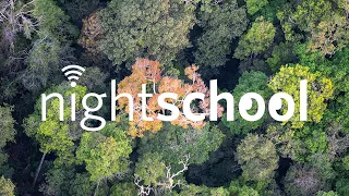 NightSchool: Rainforests