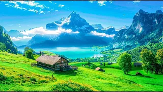 Relaxing instrumental music|Music heals and restores injuries#relaxing music