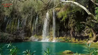 Healing Music Absolute Stress Relief|  Relax With Sounds Of The river and mountains waterfall beauty