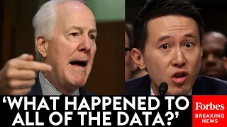 MUST WATCH: TikTok CEO Grilled By John Cornyn About U.S. Citizens Data