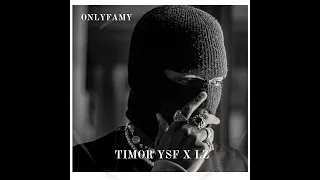 Timor Ysf feat Lz (Xrootz) - OnlyFamy (Audio)