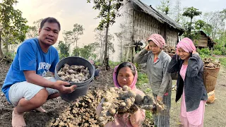 Ginger ki khet start hogiya | Village Couple ki lifestyle