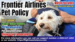 New Rules For Traveling With Pets | Frontier Airlines Pet Policy #frontierairlines #frontier