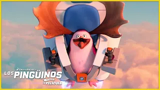 ¿Los pingüinos pueden volar? | DreamWorks Madagascar en Español Latino