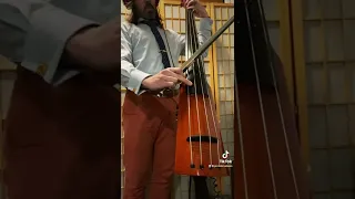 KORN: Falling Away from Me double bass cover #shorts #numetal